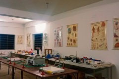 8d407395-341e-4cd0-8289-5b74d063621a