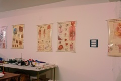 a17b69fd-6006-4dc2-8b6e-6aff4b8785e9